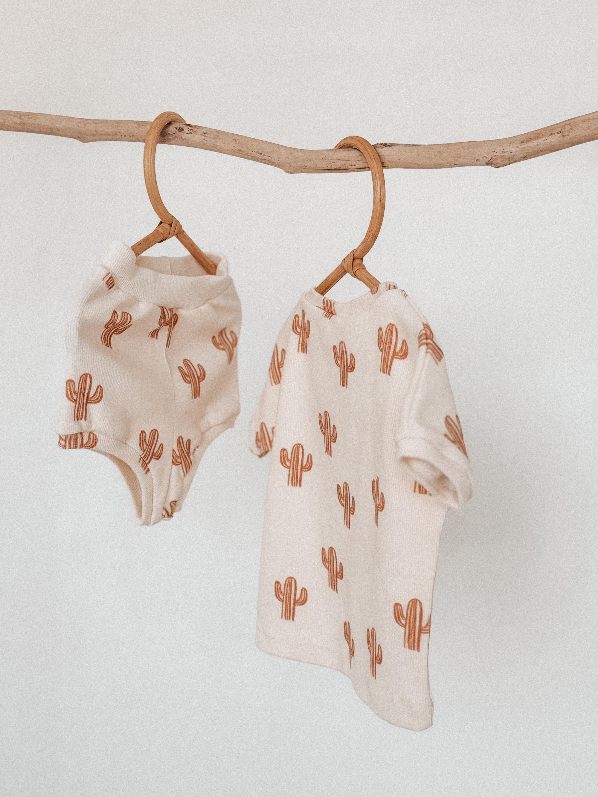 Cactus Set