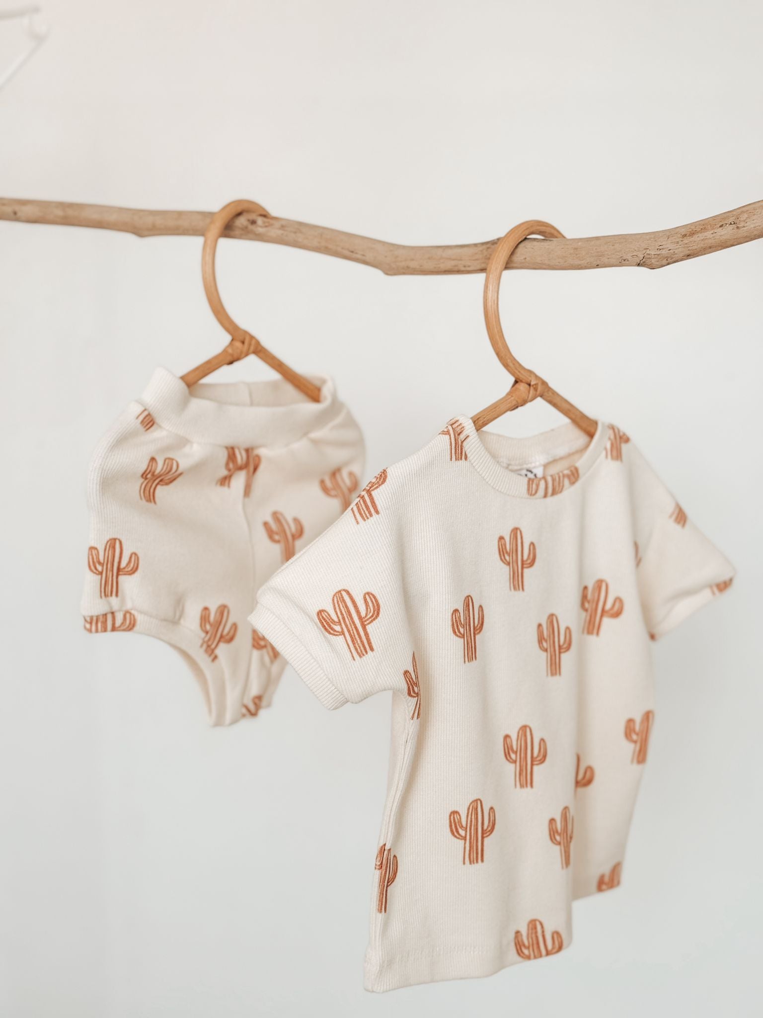 Cactus Set
