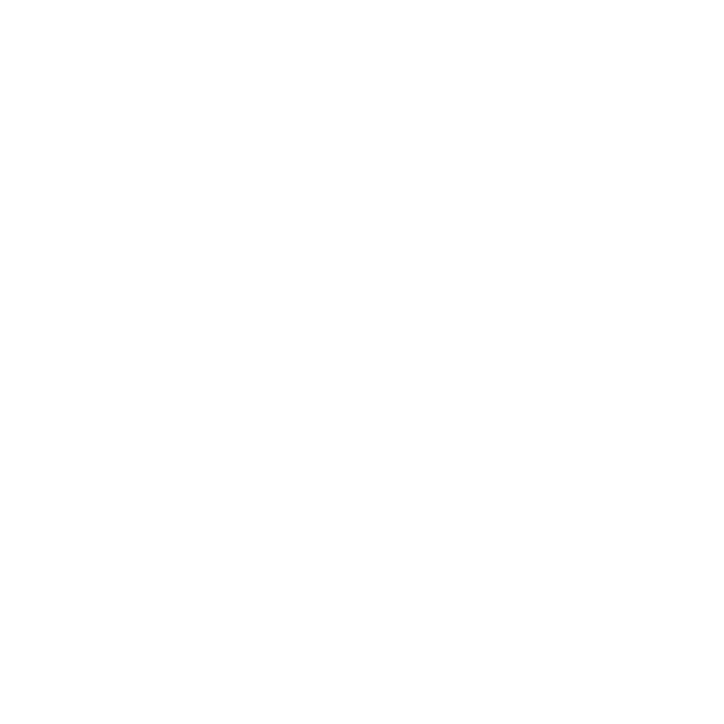 THE SOL CONCEPT 